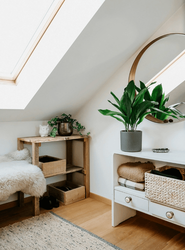 kodu coach kodu korrastamine